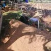 Saw Dust (Hardwood Untreated Sawdust) Free Delivery - Image 2